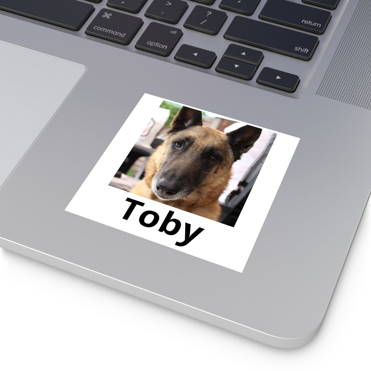 Pegatina personalizada con la foto de tu mascota