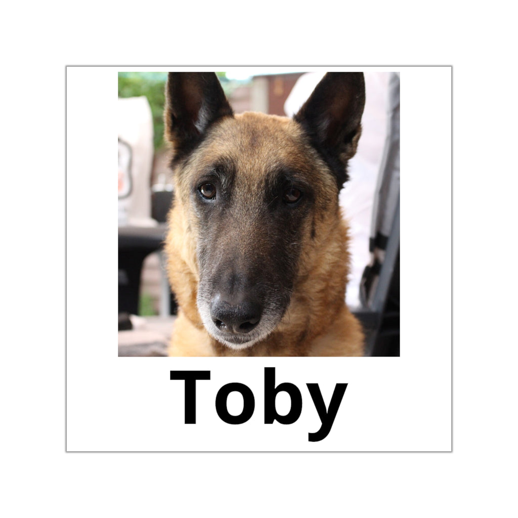 Pegatina personalizada con la foto de tu mascota