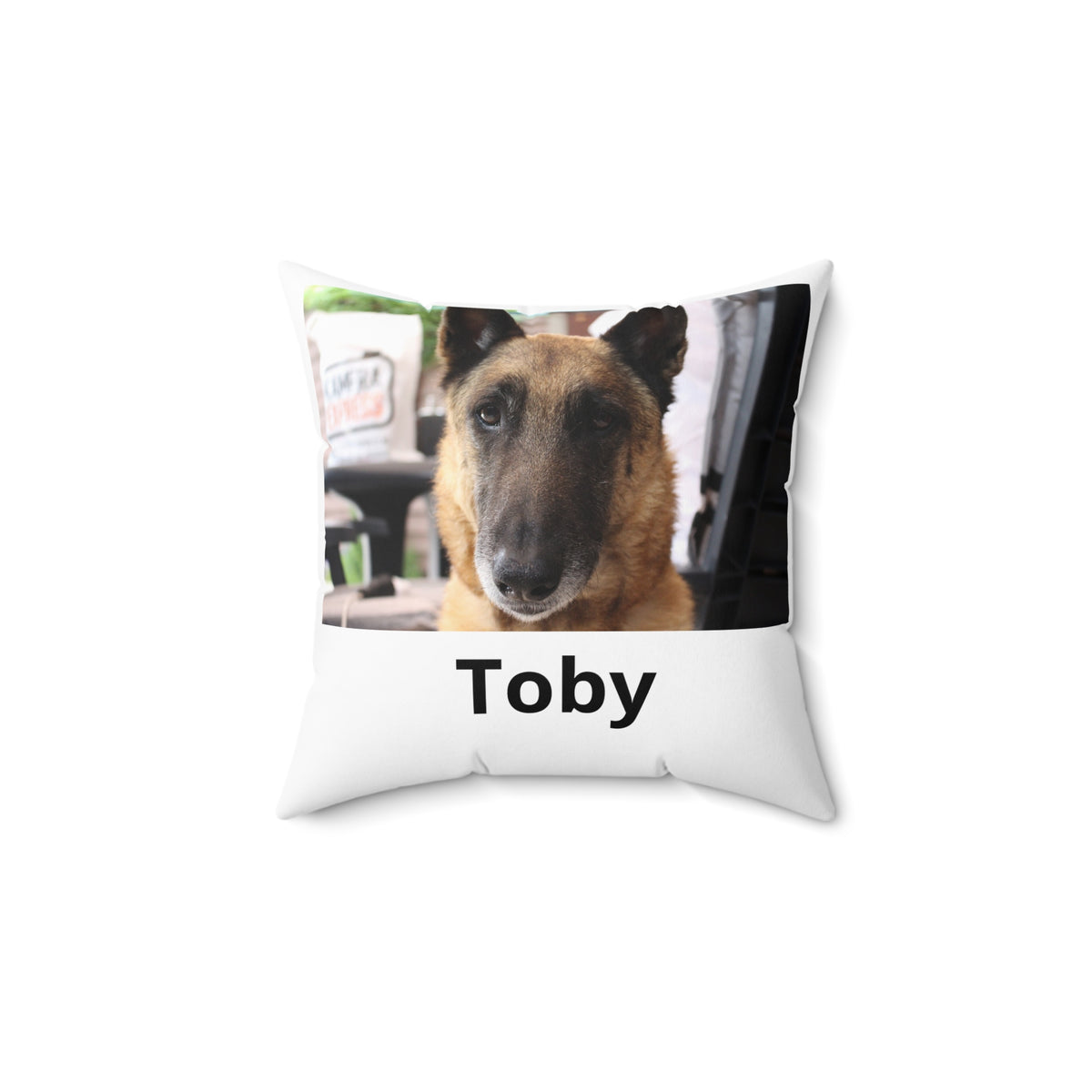 Cojín personalizado con la foto de tu mascota