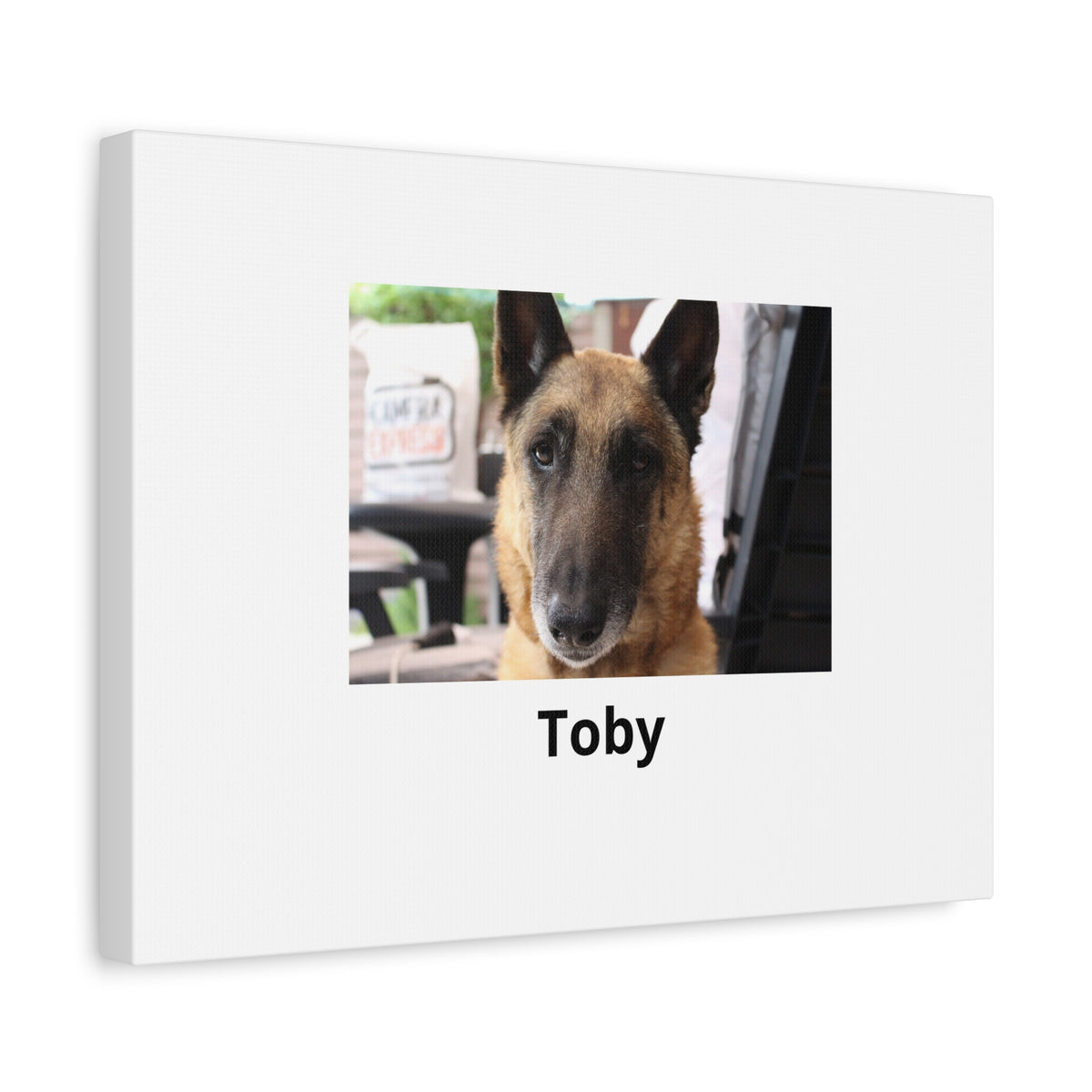 Lienzo personalizado con la foto de tu mascota
