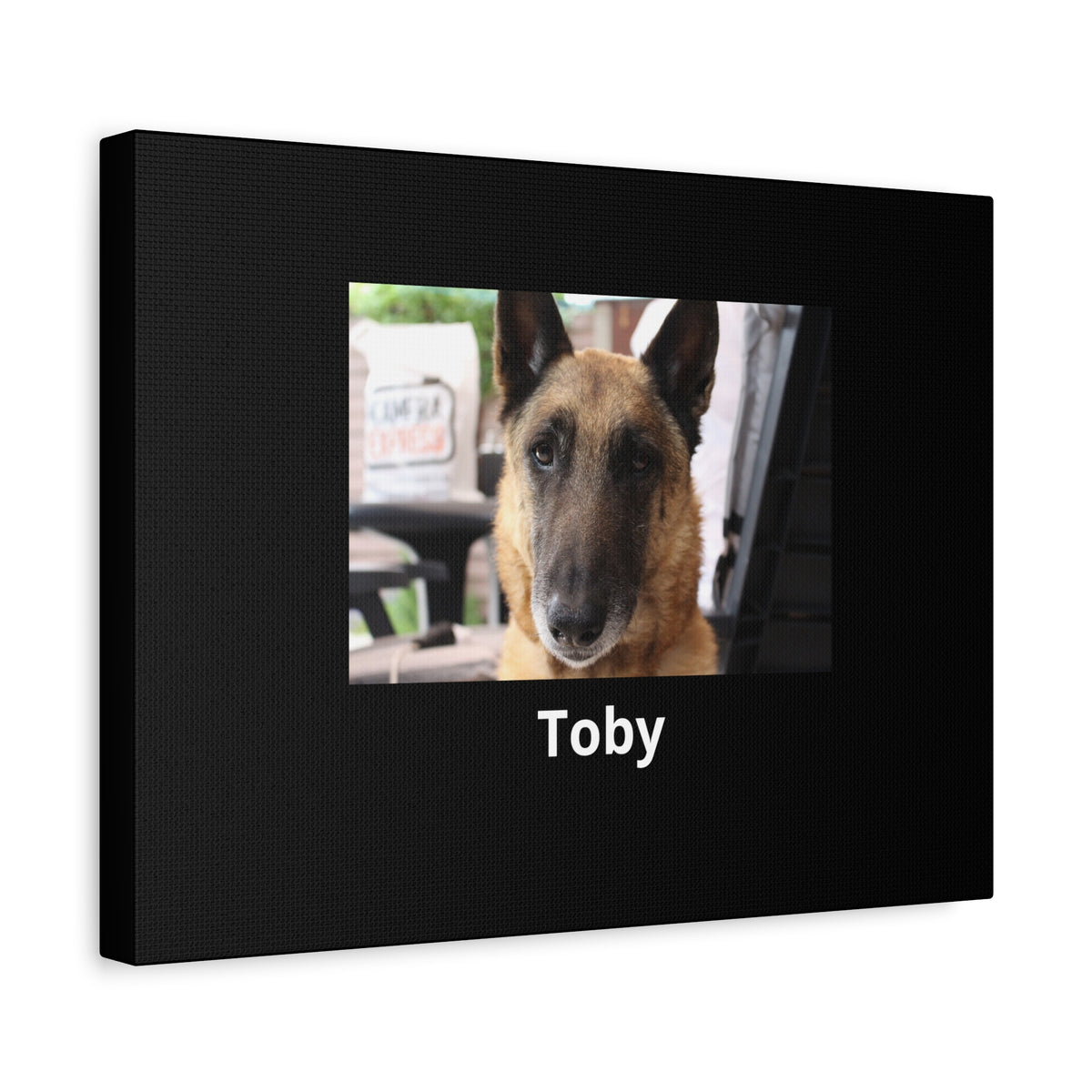 Lienzo negro personalizado con la foto de tu mascota