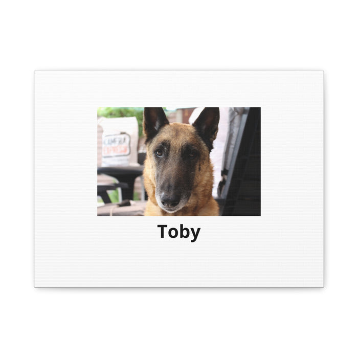 Lienzo personalizado con la foto de tu mascota
